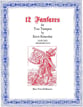 12 FANFARES FOR TWO TRUMPETS #2 cover